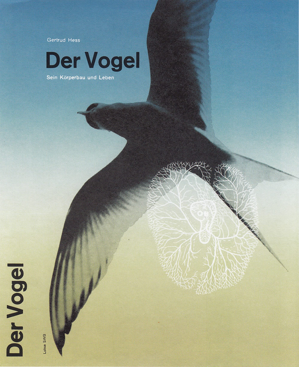Richard Paul Lohse: Der Vogel, 1946
