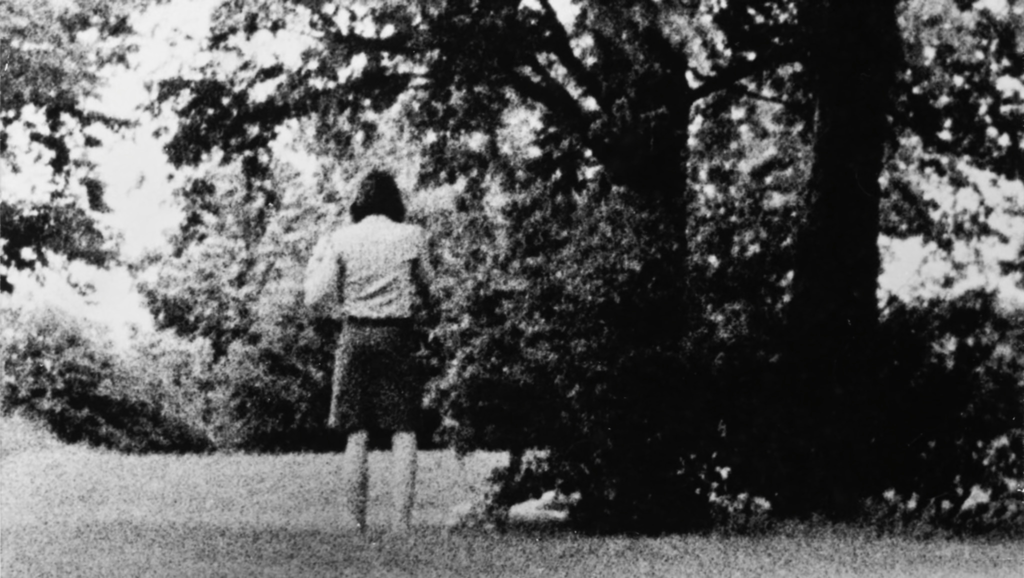 Blow-Up, Thomas’ blow-ups from the Park, 1966