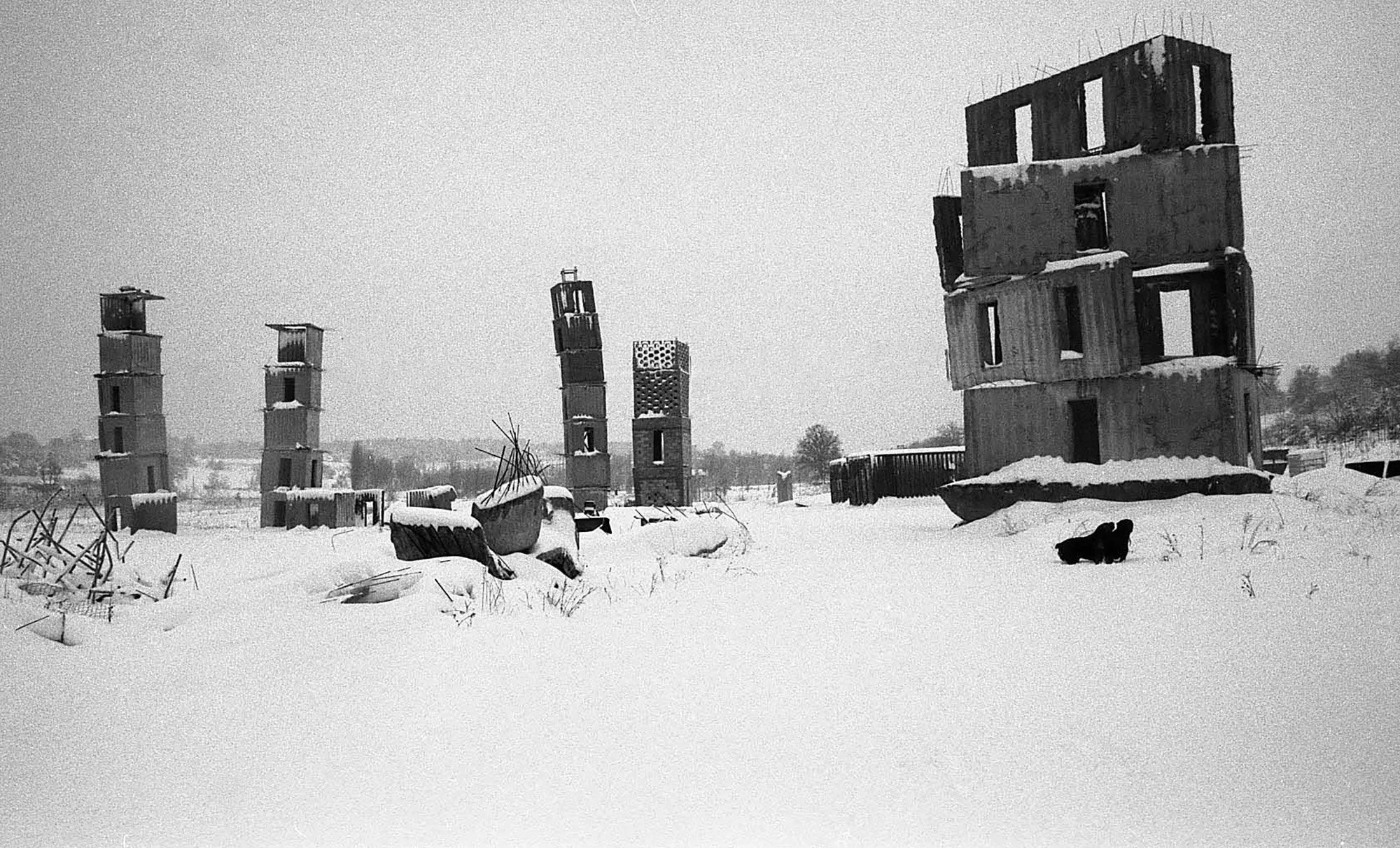 Anselm Kiefer. La Ribaute, Barjac.