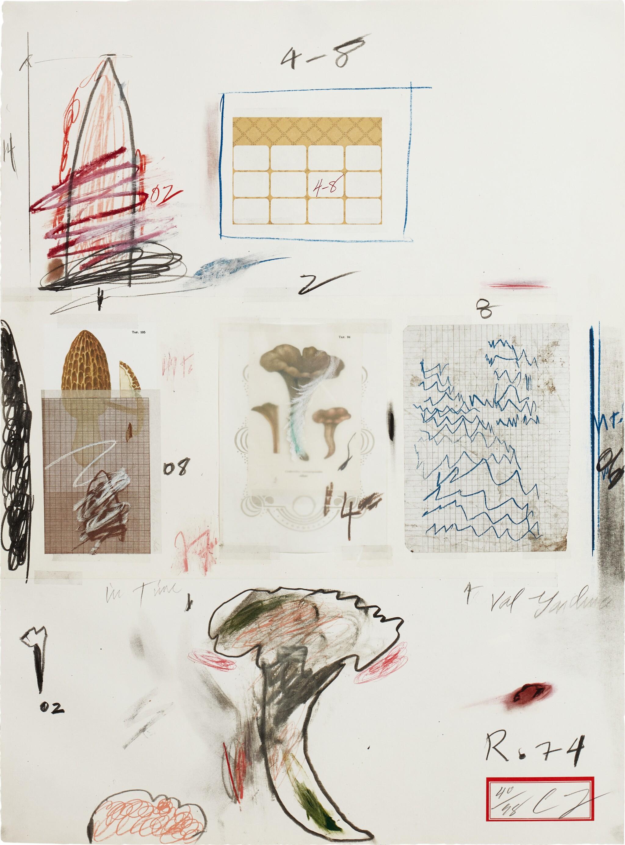 Cy Twombly: NATURAL HISTORY PART I NO.VI / Mixed media technique: lithograph, grano-lithograph, collotype, photochrome with collage and drawing by the artist. / Paper size 76 x 56 cm / Edition 98 (1–98) / Bastian 47.