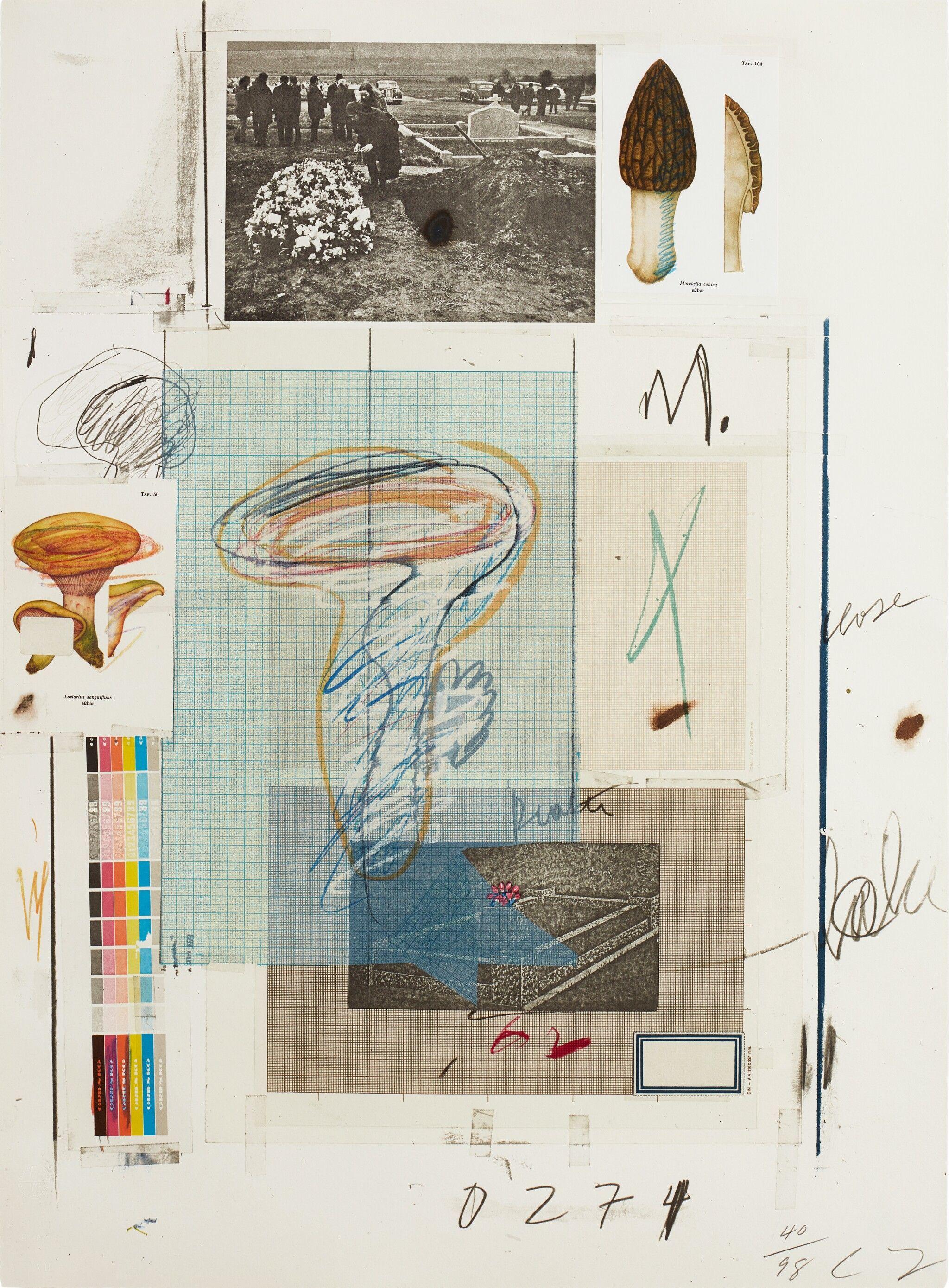 Cy Twombly: NATURAL HISTORY PART I NO.VII / Mixed media technique: lithograph, grano-lithograph, collotype, photochrome with collage and drawing by the artist. / Paper size 76 x 56 cm / Edition 98 (1–98) / Bastian 48.