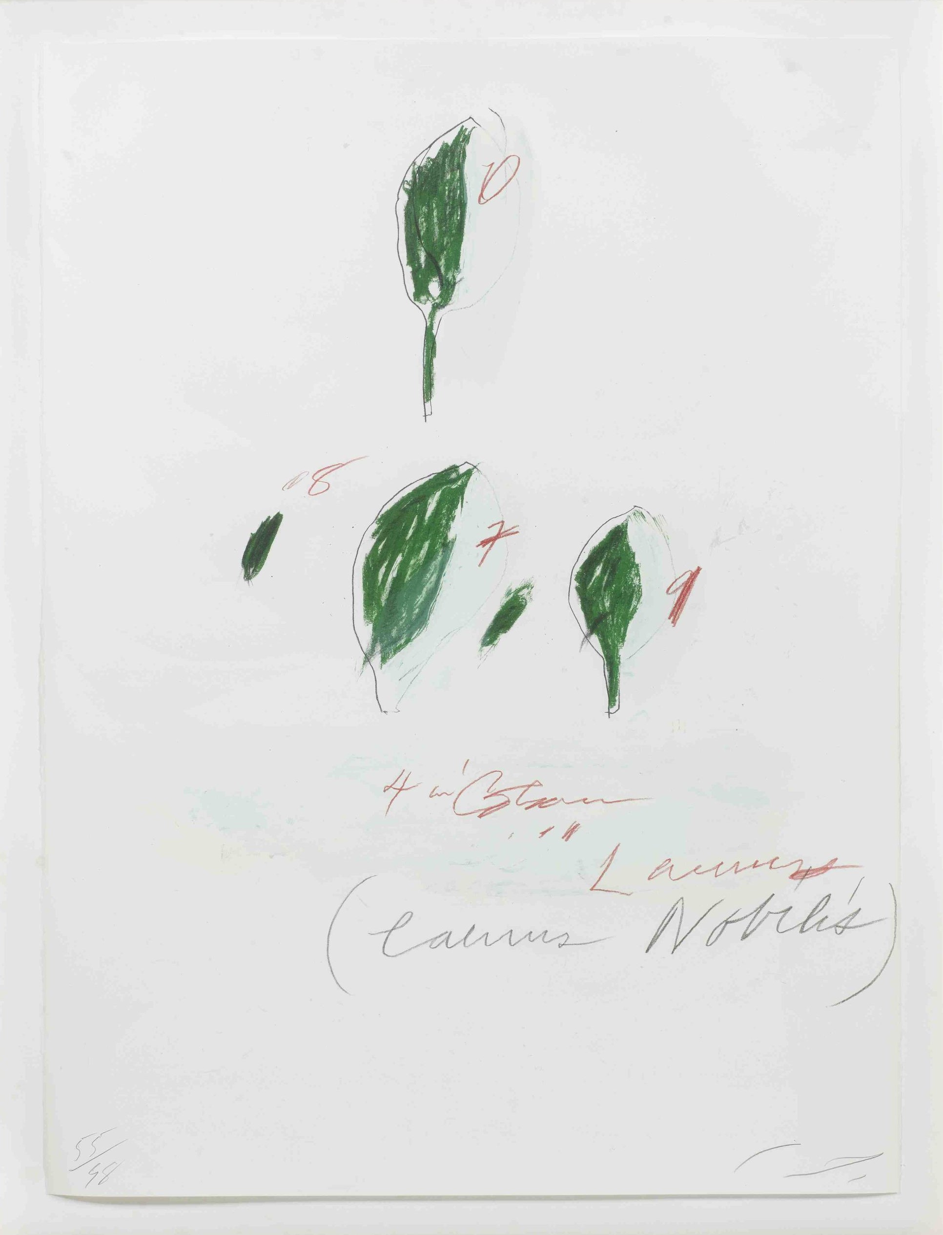 Cy Twombly: NATURAL HISTORY PART II LAURUS NOBILIS / Mixed media technique: lithograph, grano-lithograph, collotype / Paper size 76 x 56.5 cm / Edition 98 (1–98) / Bastian 55.